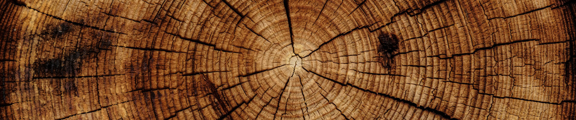 Woody