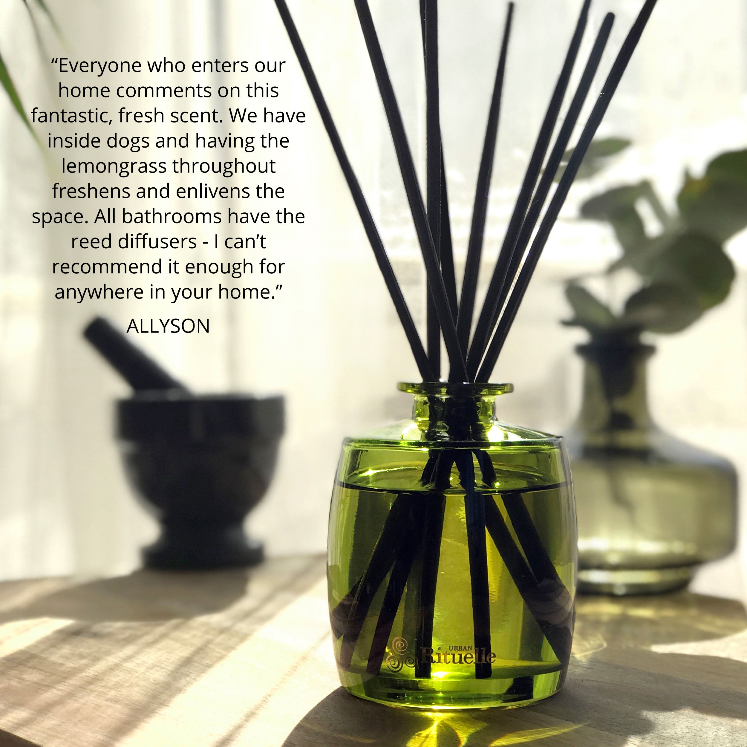 Lemongrass, Lemon Myrtle, Grapefruit & Eucalyptus<br> Fragrance Diffuser Set | 220ml