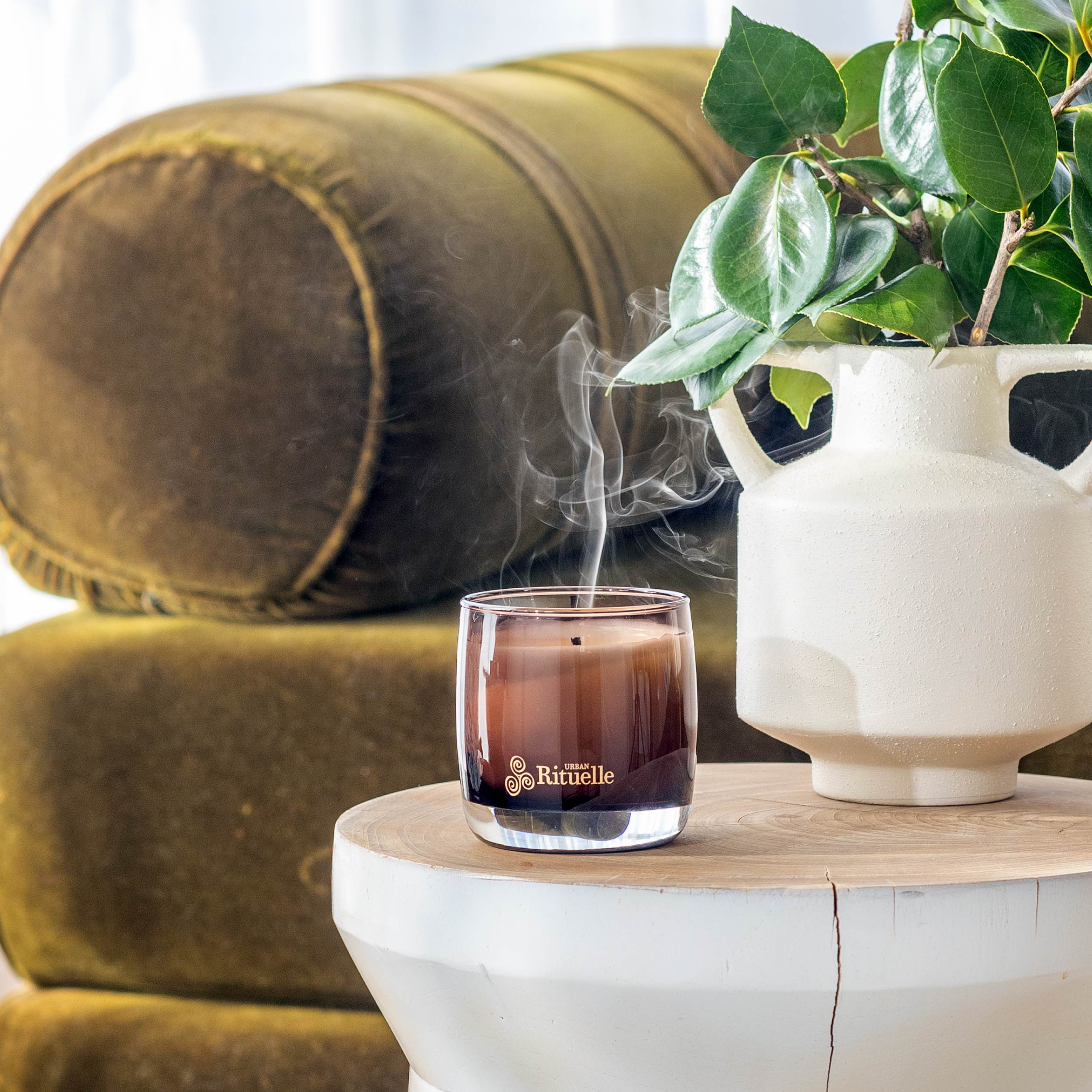 Fig Leaf, Cypress, Cedarwood, Moss<br>Scented Soy Candle | 140gm