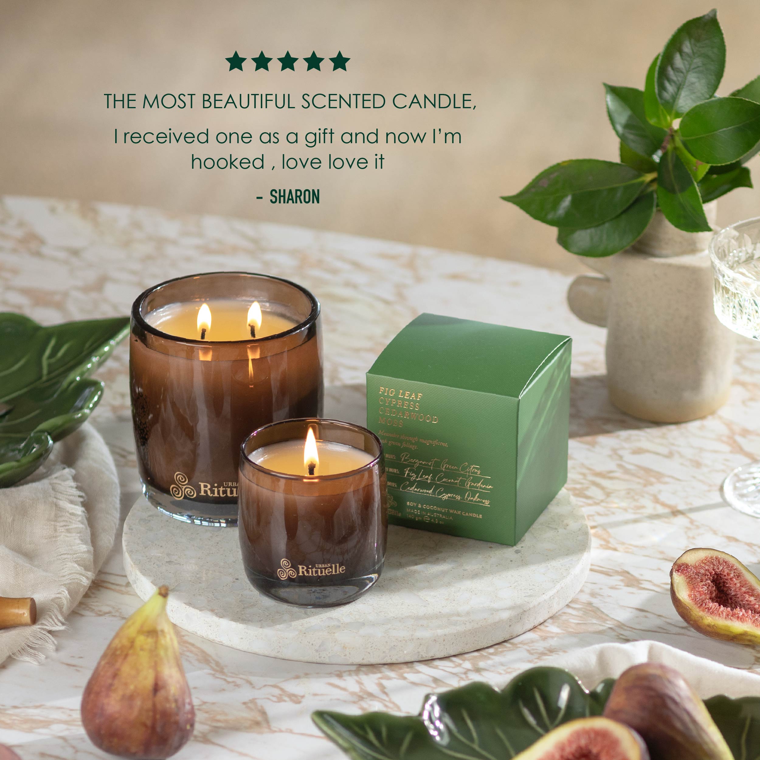 Fig Leaf, Cypress, Cedarwood, Moss<br> Gift Set