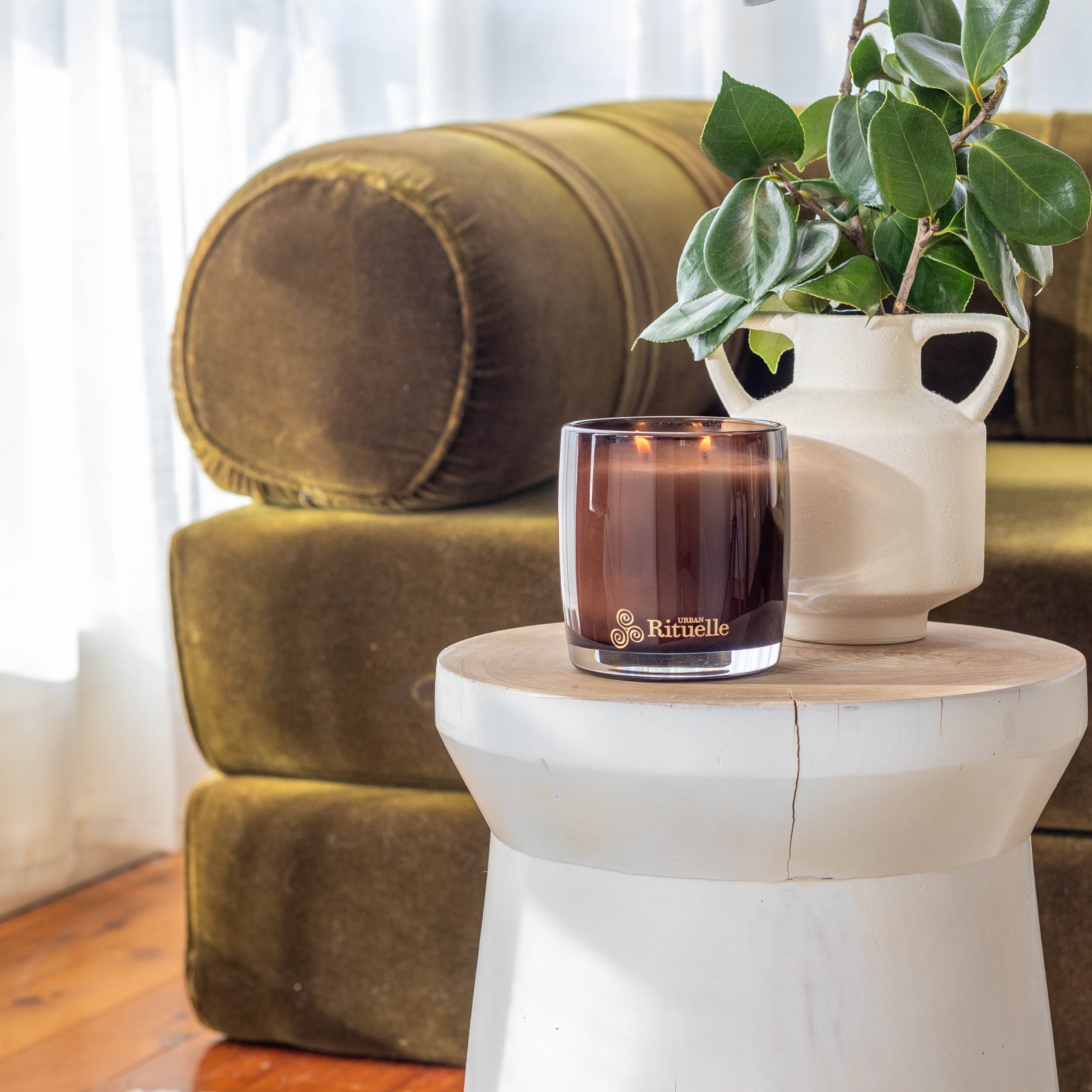 Fig Leaf, Cypress, Cedarwood, Moss<br>Scented Soy Candle | 400gm