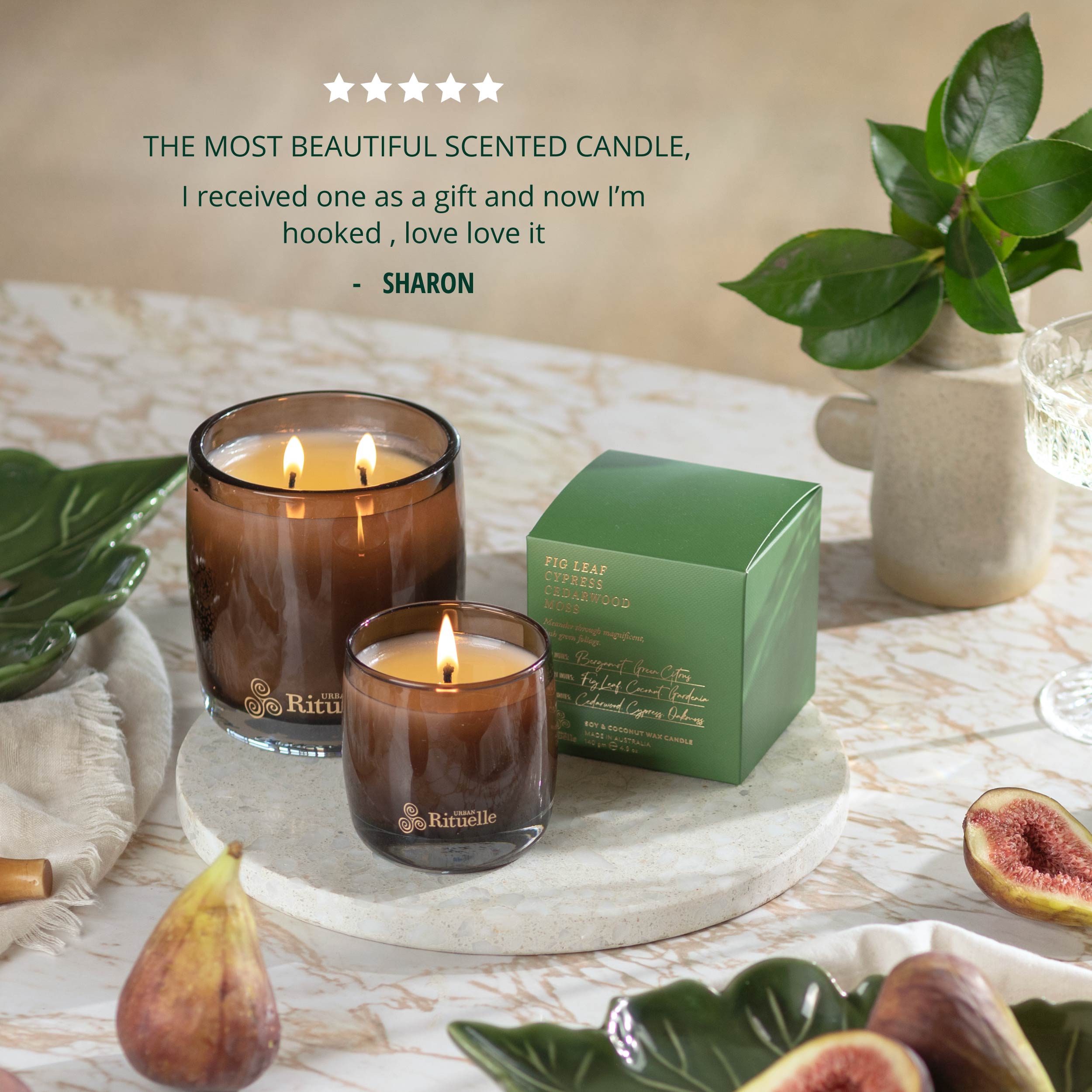 Fig Leaf, Cypress, Cedarwood, Moss<br> Gift Set