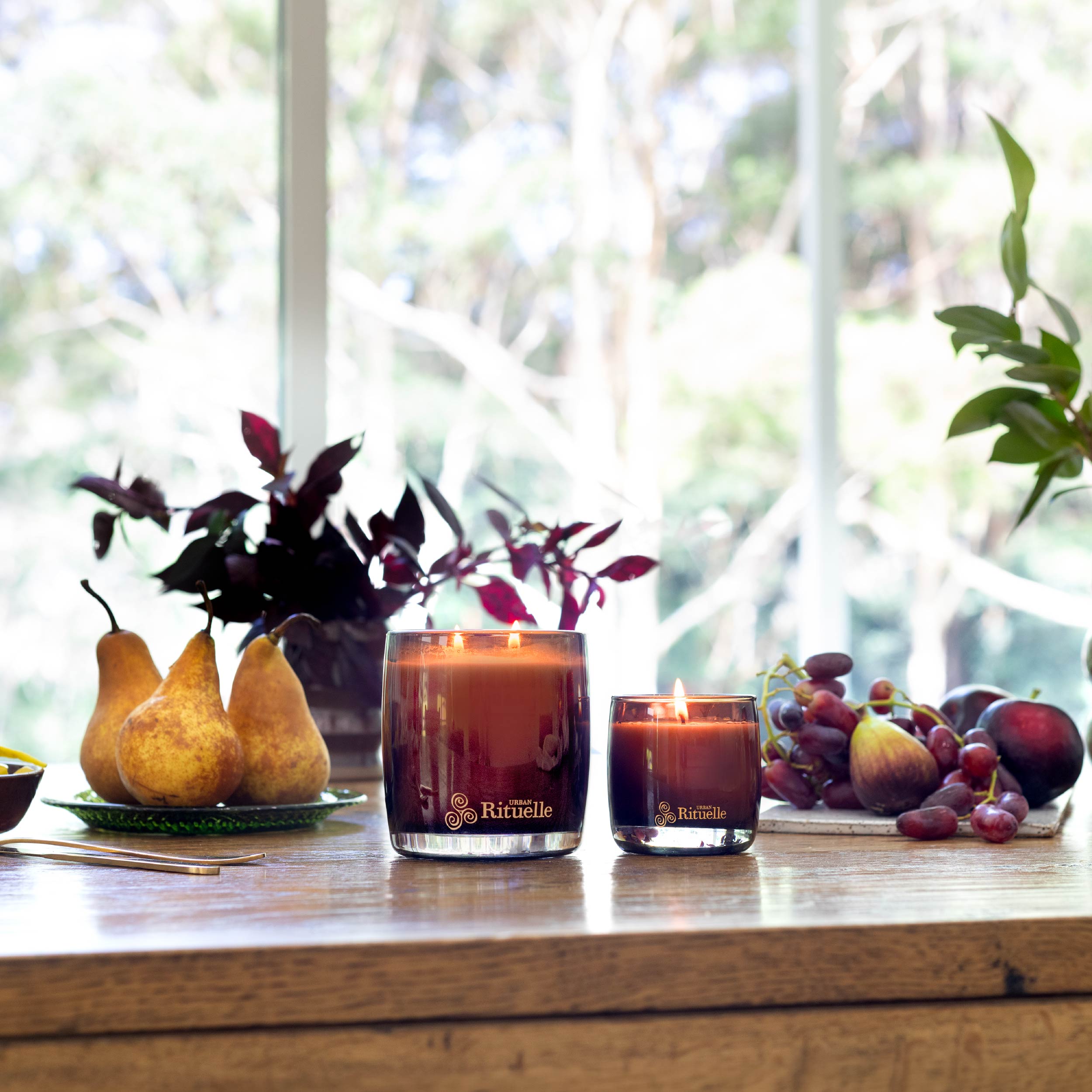 Black Amber, Rosewood & Cedar<br> Scented Soy Candle | 400gm