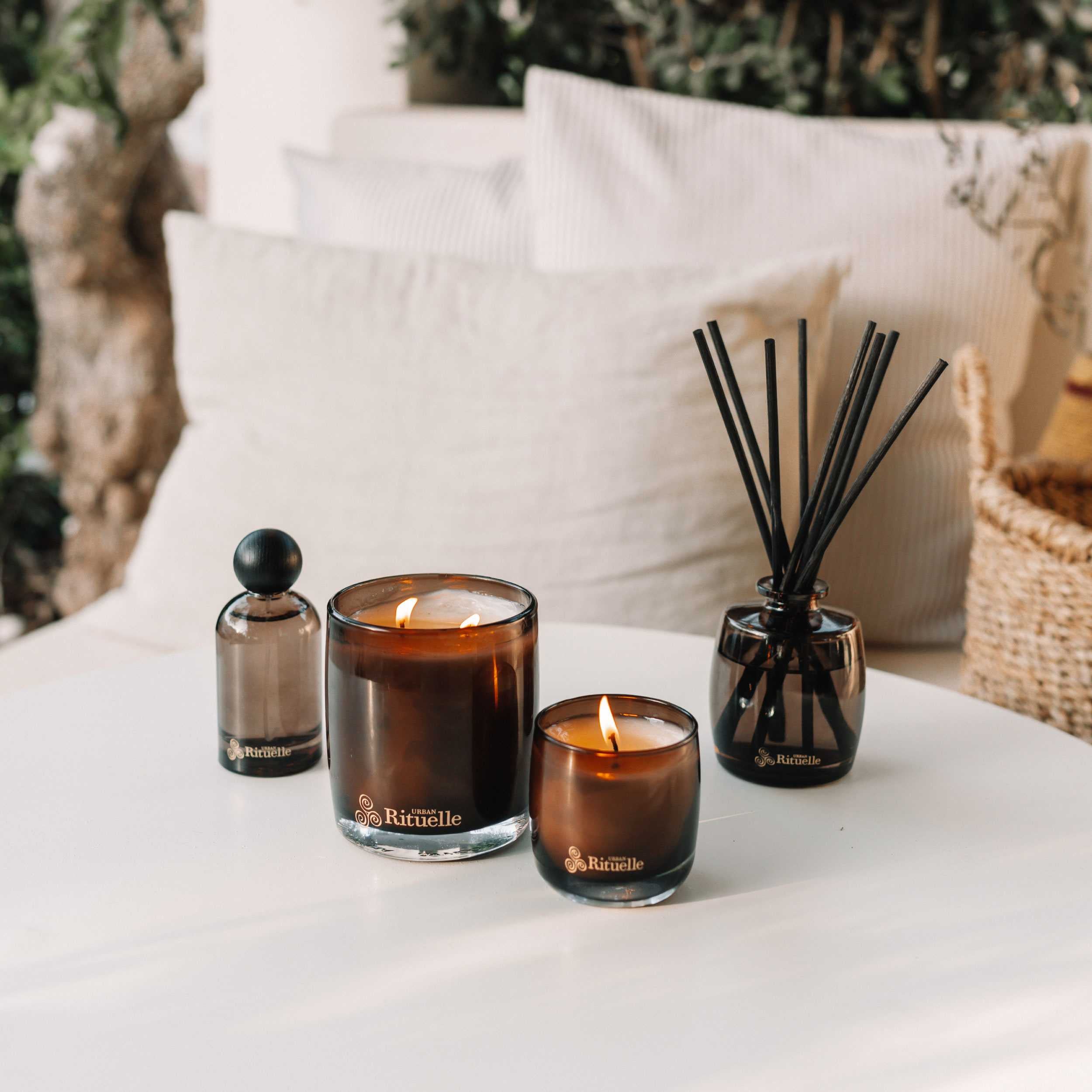 Black Amber, Rosewood & Cedar<br> Scented Soy Candle | 400gm